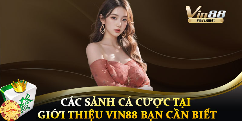 Các Sảnh Cá Cược Tại Giới Thiệu VIN88 Bạn Cần Biết